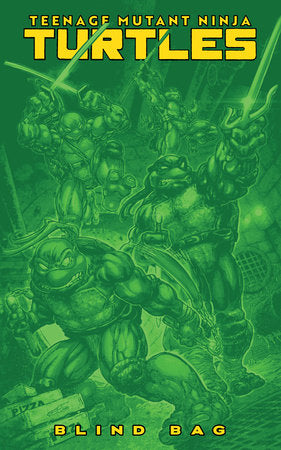 Teenage Mutant Ninja Turtles #13 – Blind Bag Variant (PREORDER)